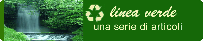 articoli ecologici