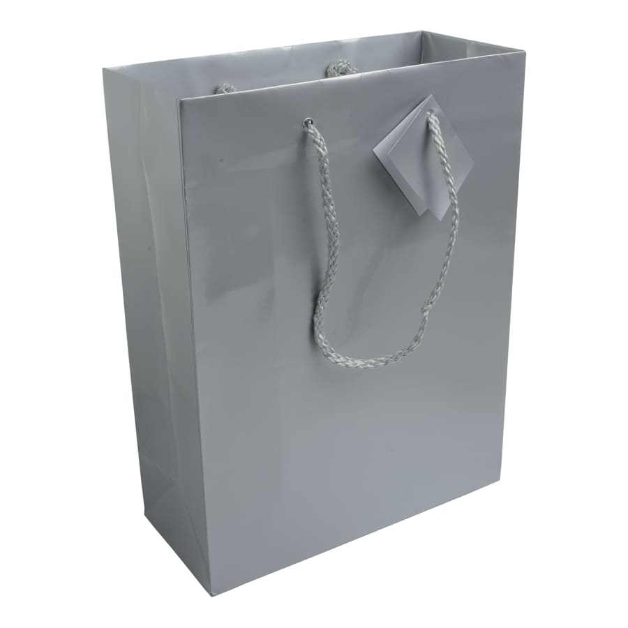 SHOPPER-GLOSSY-22x29x10-Argento