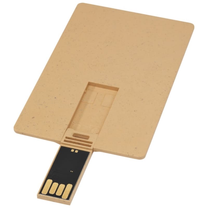 USB-CARD-BIODEGRAD.-2GB