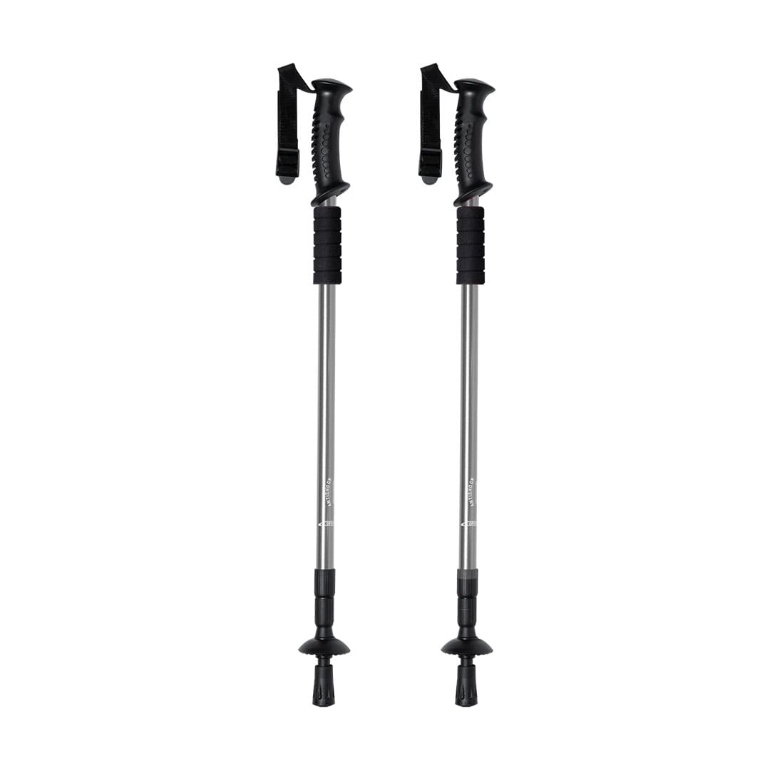 COPPIA-BASTONI-TREKKING-IN-ALLUMINIO-Argento