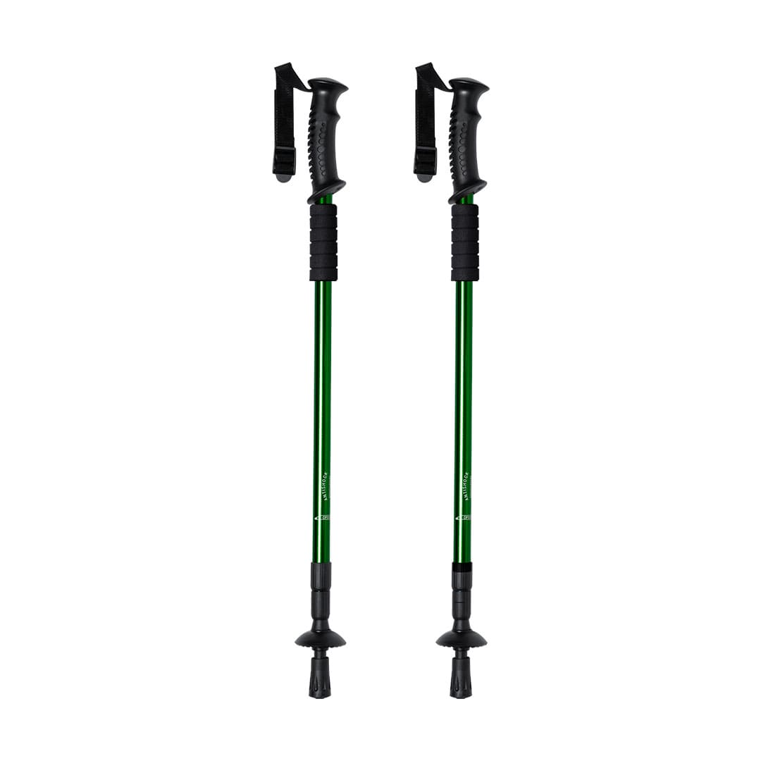COPPIA-BASTONI-TREKKING-IN-ALLUMINIO-Verde