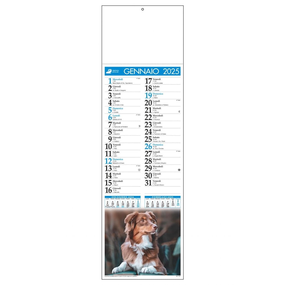 CALENDARIO-CANI-e-GATTI-14x47