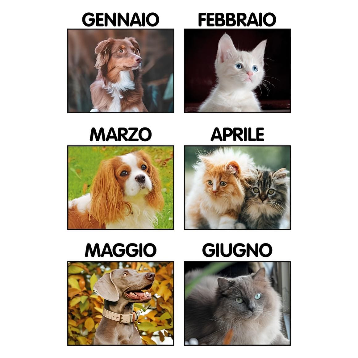 CALENDARIO-CANI-e-GATTI-14x47-2img