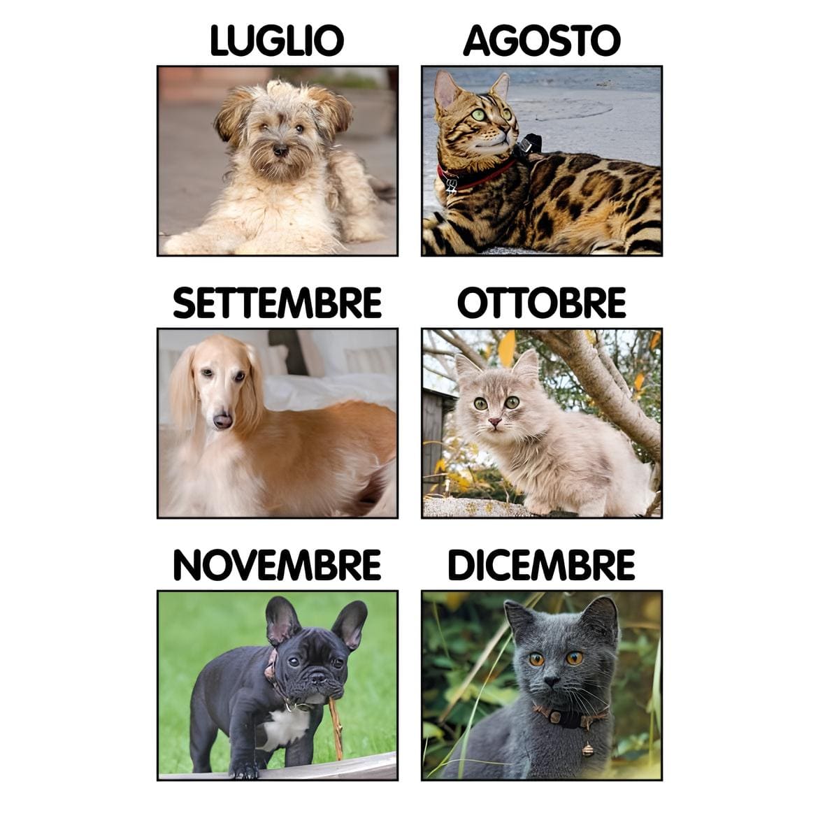 CALENDARIO-CANI-e-GATTI-14x47-3img