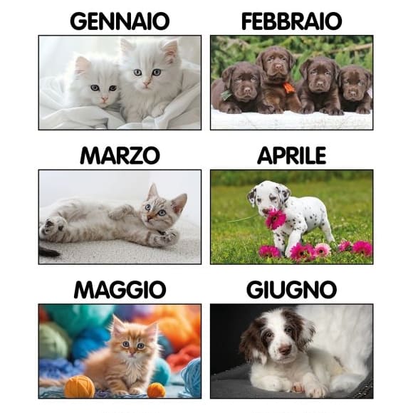 CALENDARIO-TAVOLO-CANI-e-GATTI-2img