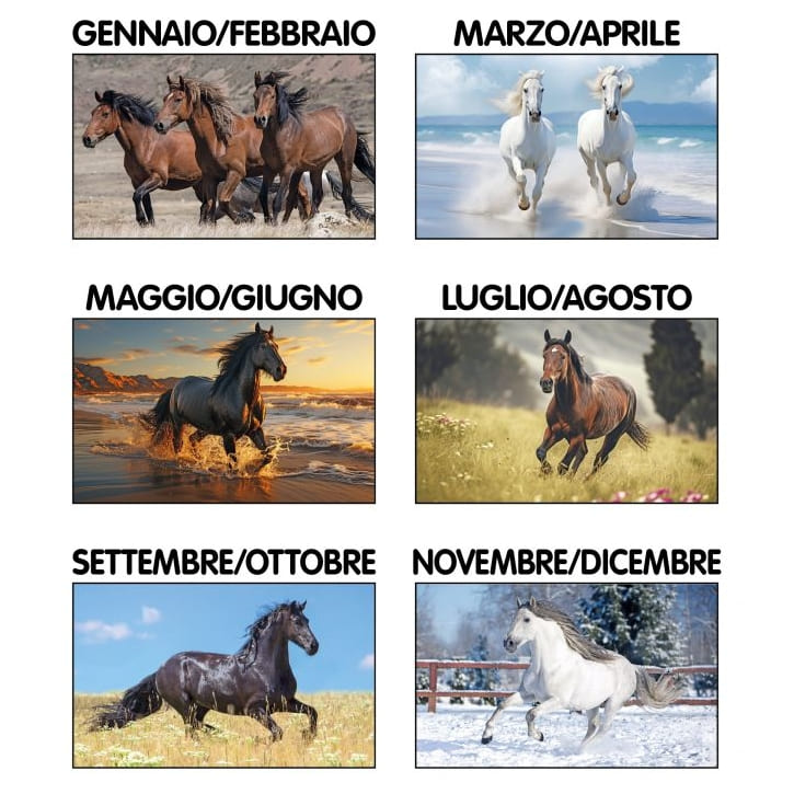 CALENDARIO-CAVALLI-2img