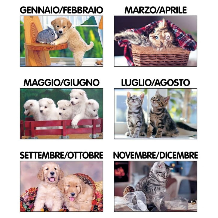 CALENDARIO-CANI-e-GATTI-2img