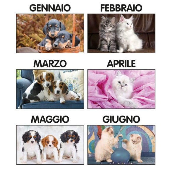 CALENDARIO-CANI-E-GATTI-2img