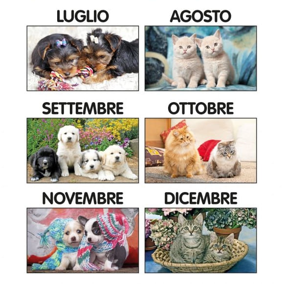 CALENDARIO-CANI-E-GATTI-3img