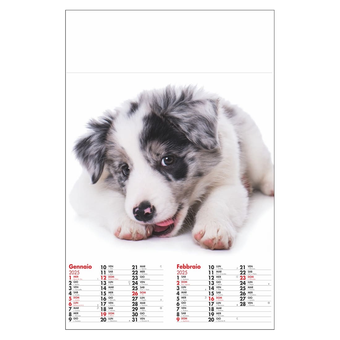 CALENDARIO-CUCCIOLI