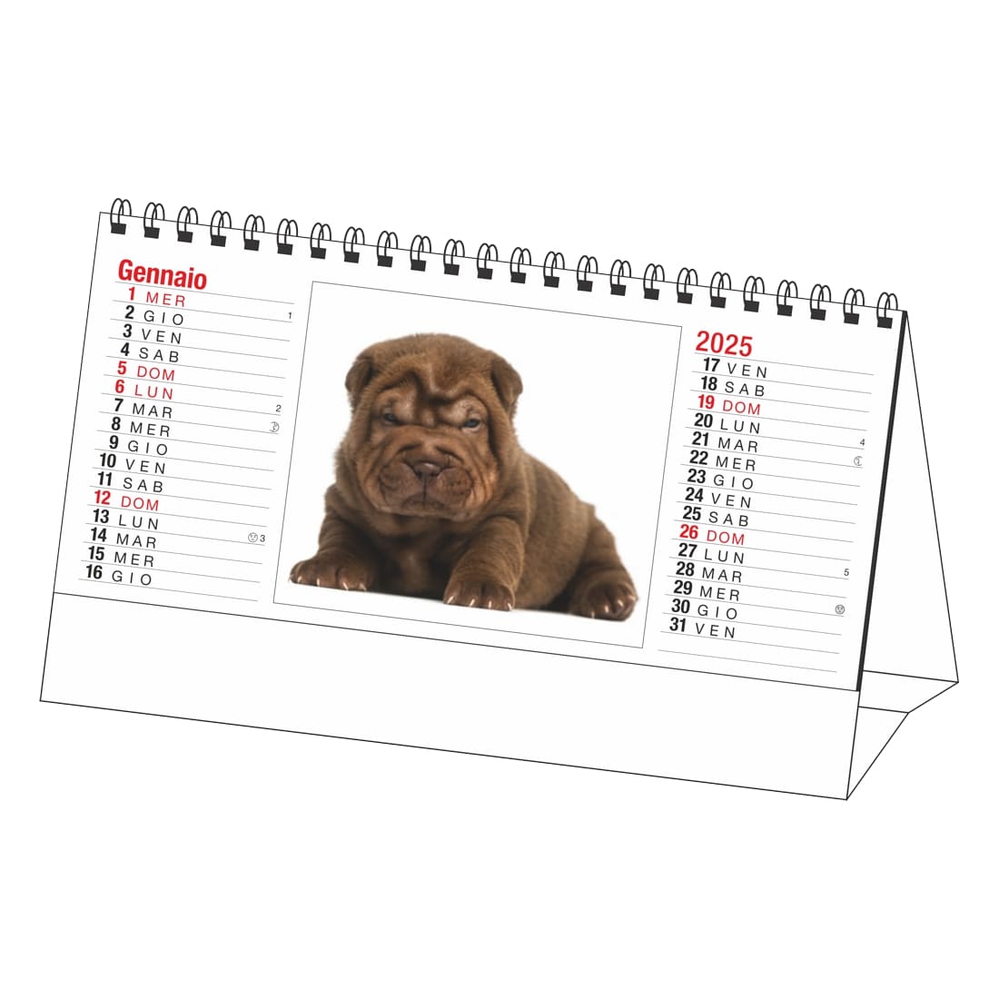 CALENDARIO-CANI-E-GATTI