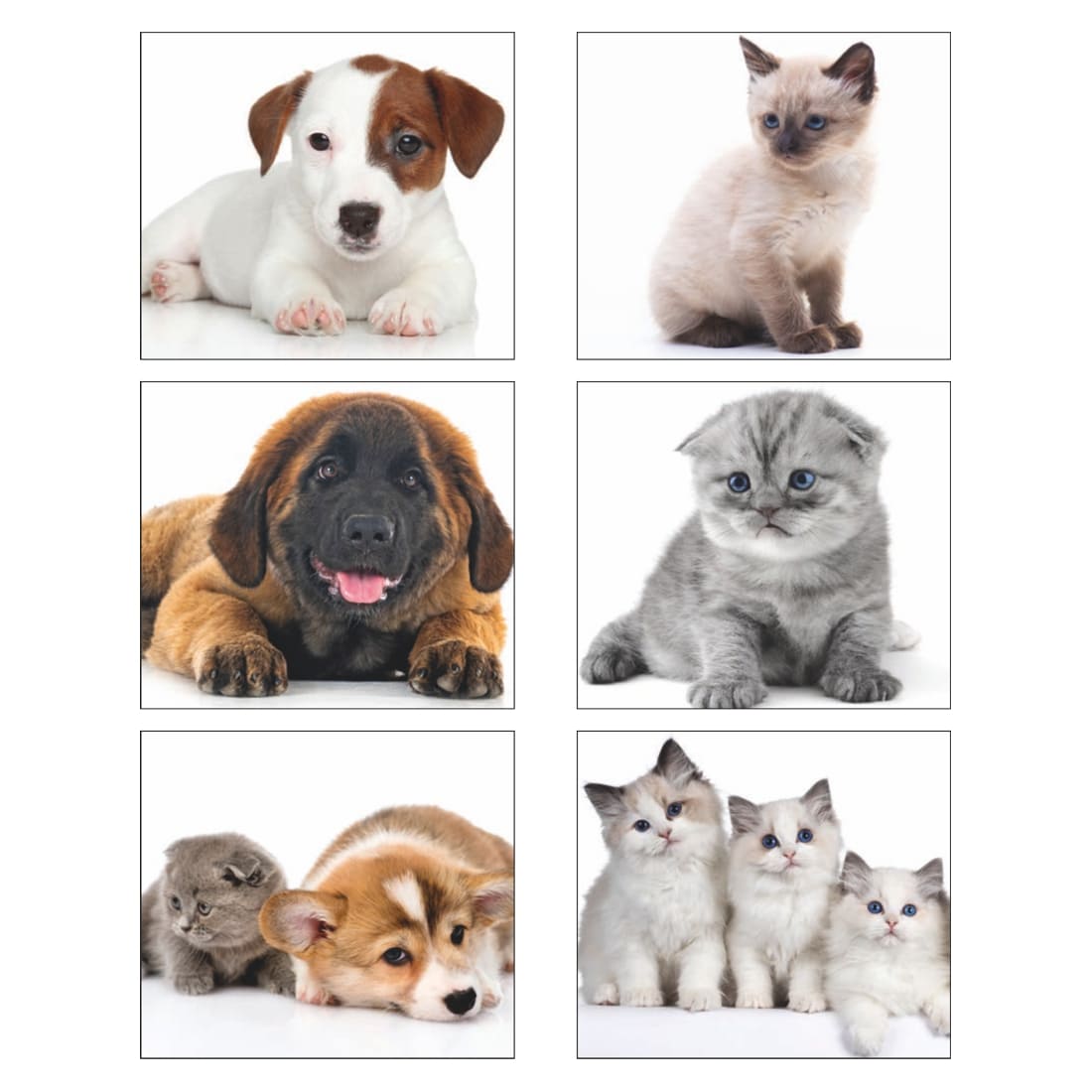 CALENDARIO-CANI-E-GATTI-4img