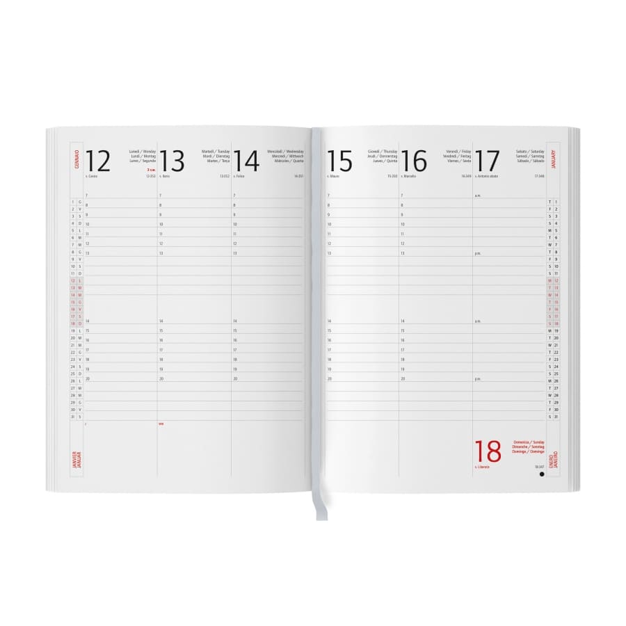 AGENDA-PU-FLESSIBILE-2img
