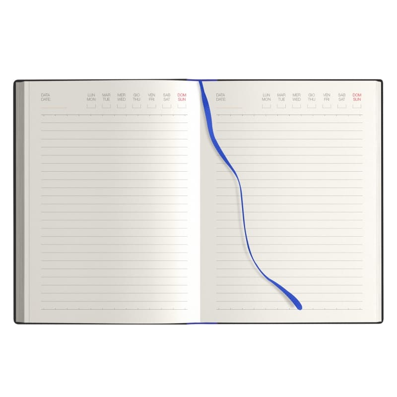 AGENDA-PERPETUA-NOTES-2img