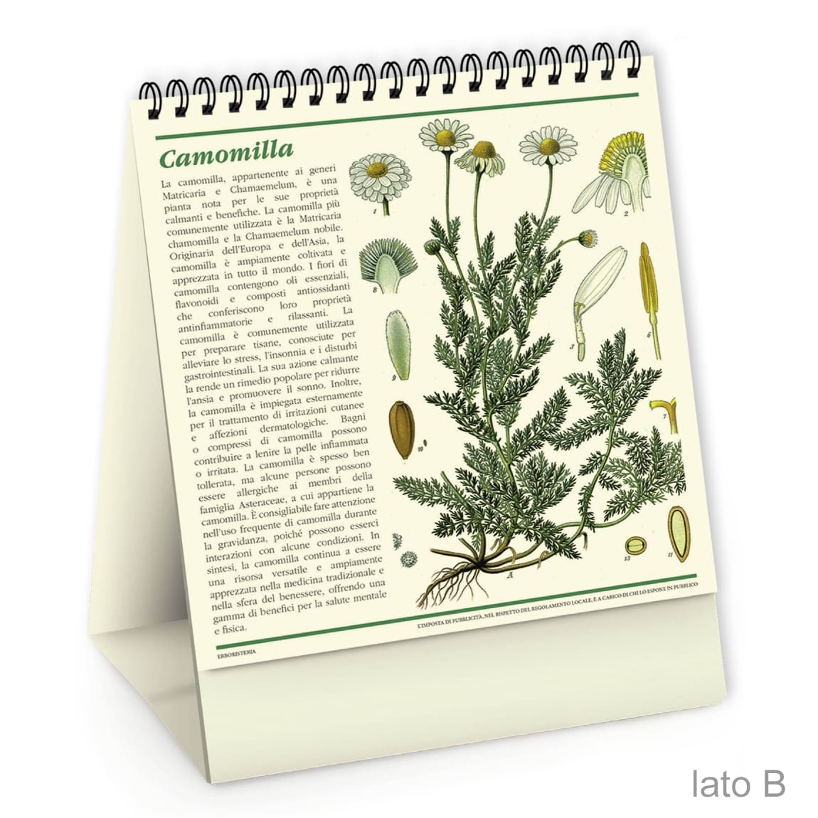 CALENDARIO-DA-TAVOLO-EROBORISTERIA-3img CALENDARIO-DA-TAVOLO-EROBORISTERIA-3img