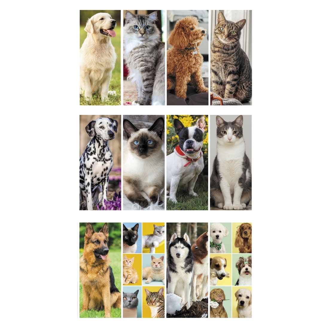 CALENDARIO-CANI-e-GATTI-3img