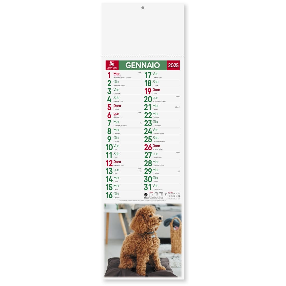 CALENDARIO-CANI-e-GATTI