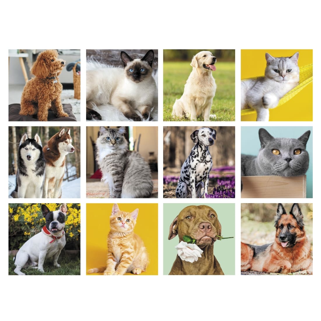 CALENDARIO-CANI-e-GATTI-3img