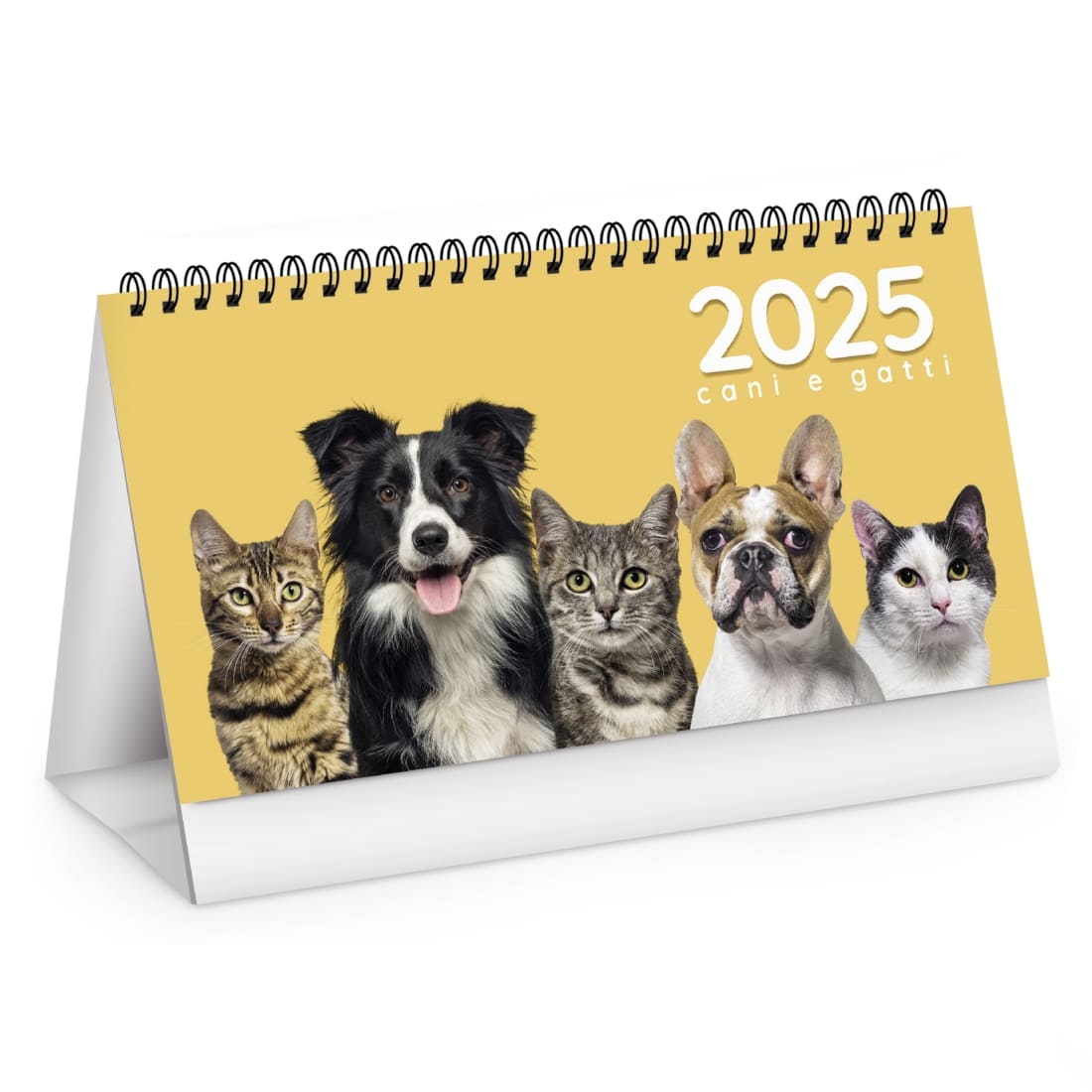 CALENDARIO-CANI-e-GATTI